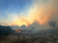 İzmir İtfaiyesi Dikili’deki yangına müdahale ediyor