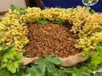 Türkiye, çekirdeksiz kuru üzümde 2024/25 sezonunu enlerde yaşadı