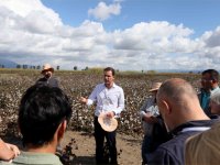 Pamukta Kriz Alarmı: Çözüm Sürdürülebilir Üretimde