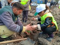 Aliağa’da Küllerinden Doğan Umut: Yanan Sahaya Binlerce Fidan