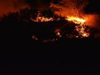 Kyme Antik Kent Yakınlarındaki Ormanlık Alanda Bir Hafta Arayla İkinci Kez Yangın Çıktı