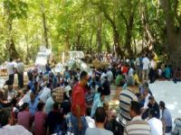 Okur: Cemaat Ve Tarikatlar Devletten Elini Çekmeli