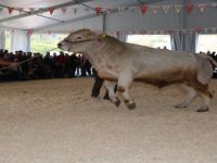 Bu Fuar Herkese Kazandıracak