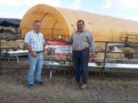 Kurban Pazarında Sahte Para Önlemi