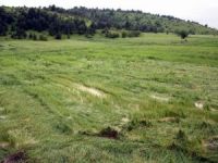 Tarımın Sigortasından Üreticiye 850 Milyon Tl Ödeme