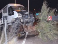 Alkollü Sürücü Aracıyla Birlikte Ağaca Çıktı: 1 Yaralı