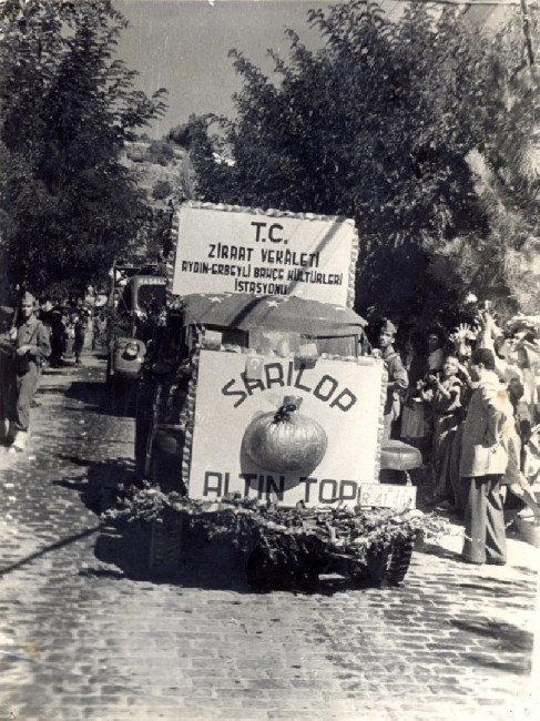 Aydın’da Bodur İncir Üretimi Denemeleri Başladı
