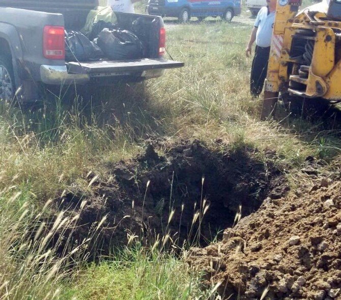 Aydın’dan Çanakkale’ye Gönderilen 328 Kilo Kaçak Domuz Eti Yakalandı