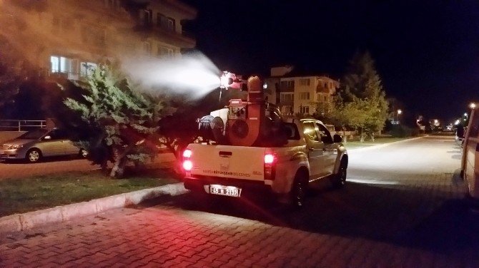 Akhisar’da Haşereyle Mücadele Devam Ediyor