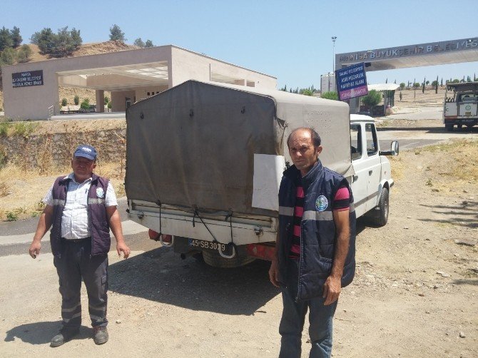 Yaralı Yavru Tilkiye Şefkat Eli