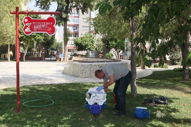 Bayraklı’da Sokak Hayvanlarına Yakın İlgi