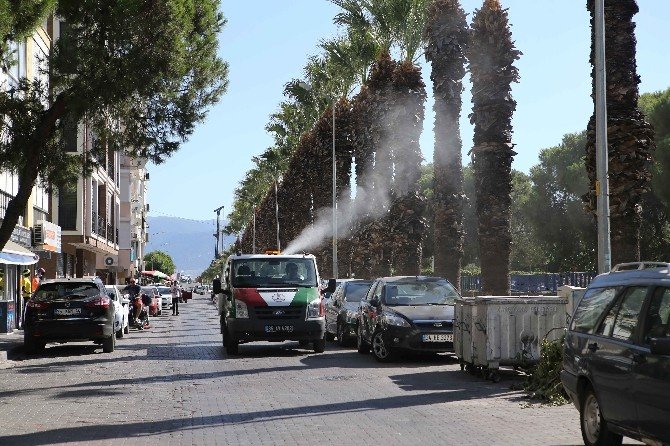 Karşıyaka’da Haşere Ve Sineklere Karşı İlaçlama Sürüyor