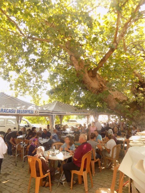 300 Yıllık Çınarın Altında Asırlık Keşkek Hayrı Yapıldı