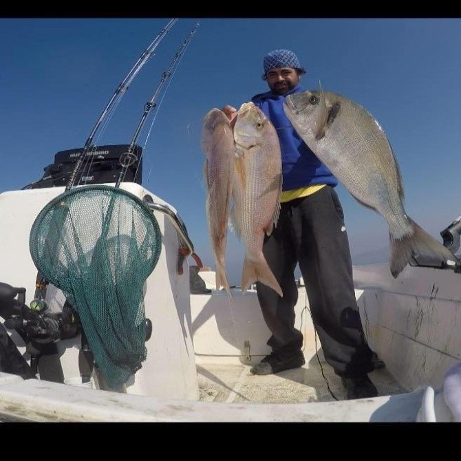 Oltasına Köpekbalığı Takıldı