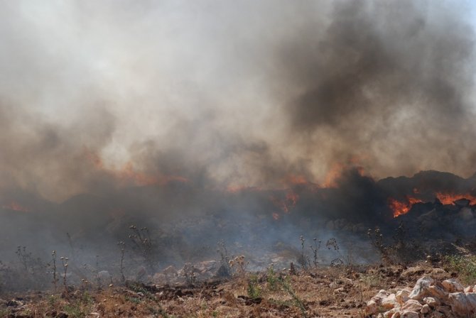 Aydın’da Çöplük Yangınları Korkutmaya Başladı