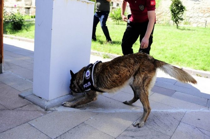 Uşak’ta Narkotik Detektör Köpekler Uyuşturucuya Göz Açtırmıyor