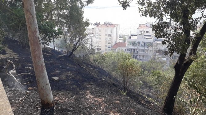 İzmir’de Parkta Korkutan Yangın