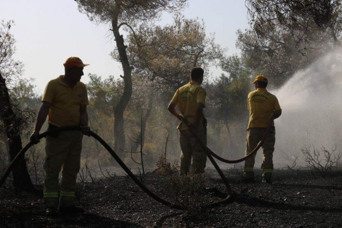 Manisa’da Orman Yangını