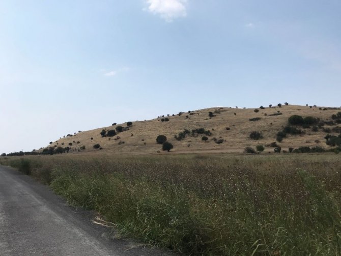 Myrina Ve Gryneion’da Yüzey Araştırmalarına Başlandı