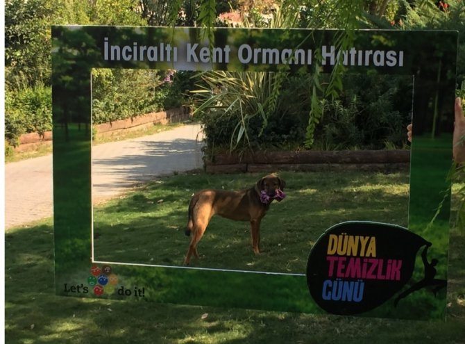 İzmir’i Temizleyen Ekibe Sevimli Köpekten Yardım
