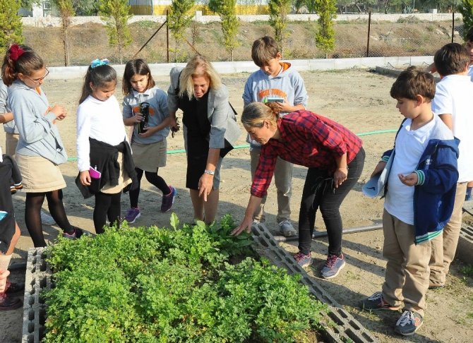 Öğrenciler Yerel Tohumunun Kıymetini Sebzelerini Yetiştirerek Anlayacak