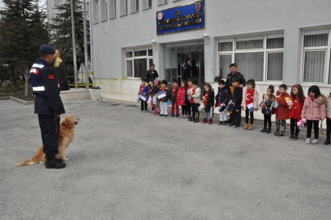 Jandarma Köpeklerinin Gösterisini Minikler Şaşırarak İzledi
