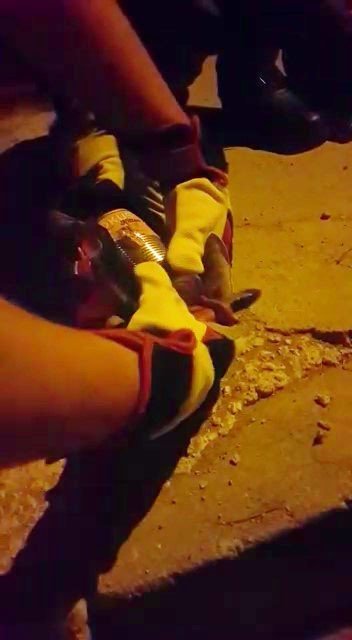 Kafası Konserve Kutusuna Sıkışan Kediyi İtfaiye Kurtardı