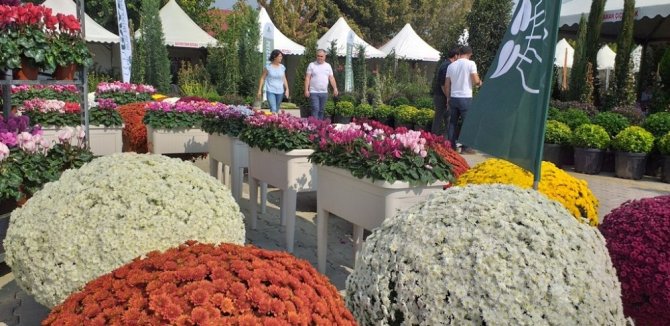 "Ödemiş’te 2 Bin Aile Bitki Üretimi İle Uğraşıyor"