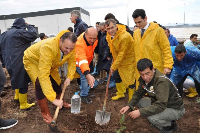 Menemen Ve Aliağa’da Fidanlar Toprakla Buluştu
