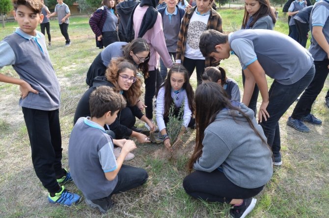 Didim’de Liseli Öğrenciler Okullarına Zeytin Fidanı Dikti