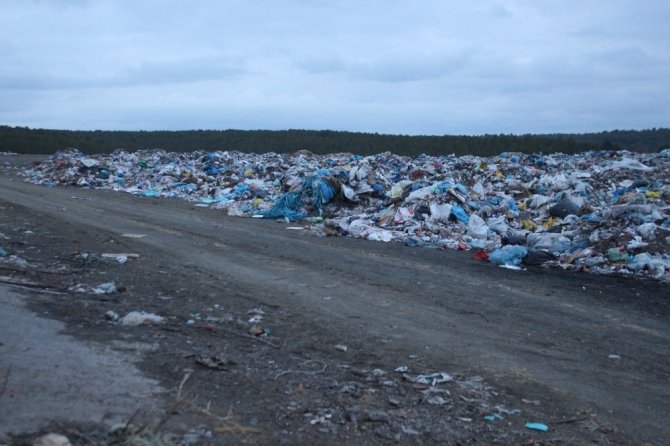 Banaz’da Çöplükte 21 Köpek Ölü Bulundu