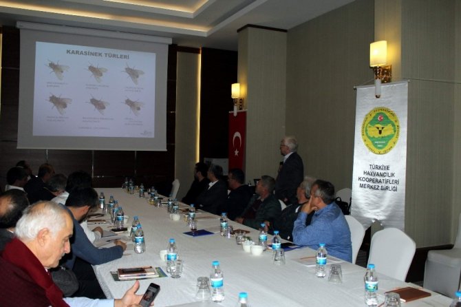 Örkoop Başkanı Önal, Haykoop Toplantısını Değerlendirdi