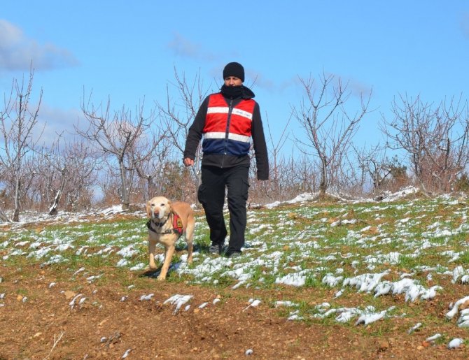 4 Gündür Kayıp Şahsı Arama Çalışmaları Sürüyor