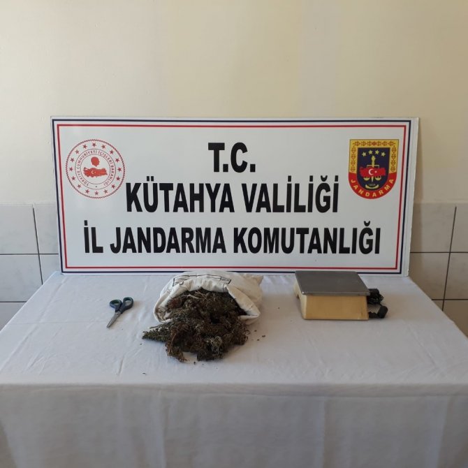 Jandarmadan Uyuşturucu Operasyonu