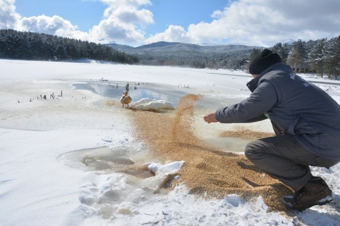 Akdağ’da Yaban Hayvanlarına Yemleme Desteği