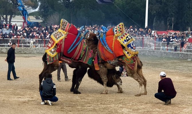 Nazilli Arenası Tarihi Günlerinden Birini Daha Yaşadı