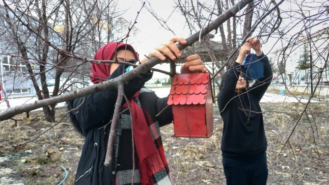 Okul Bahçesine Kuş Evleri