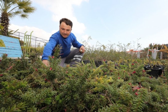 Su Kaynaklarını Korumak İçin Çalı Üretimi