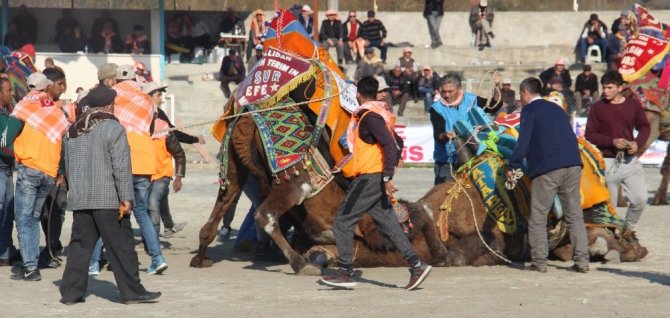 Pehlivan Develer Ortaklar Arenası’nda Buluştu