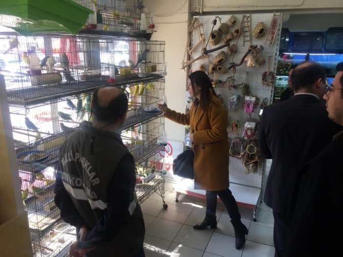 Aydın’da Cıtes Kapsamında Kaçakçılık Operasyonu Gerçekleştirildi