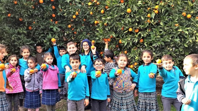 Portakalla Kurulan Kardeşlik Köprüsü Şırnak’a Ulaştı