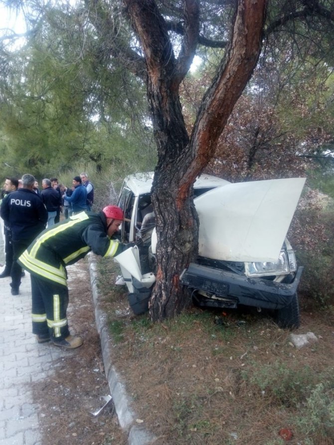 Denizli’de Otomobil Ağaca Çarptı: 1 Ölü, 1 Yaralı
