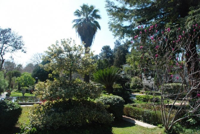 Türkiye’nin İlk Polen Alerji Bülteni İzmir’de