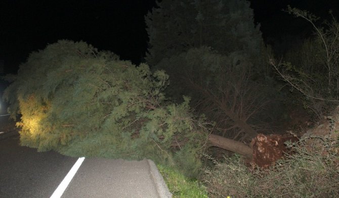 Çevre Yolunda Sürücüler Ölümden Döndü