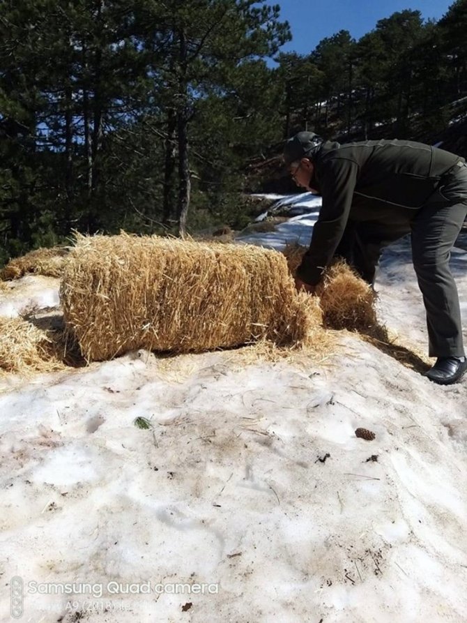 Dkmp’den Yaban Hayatına Yem Desteği
