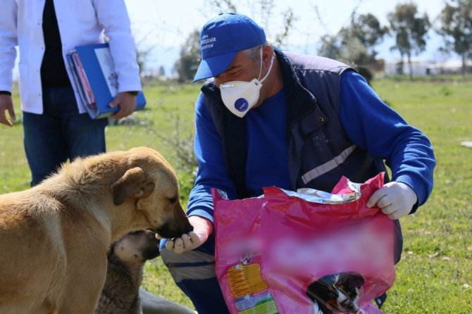 Aydın Büyükşehir Belediyesi Can Dostları Unutmadı