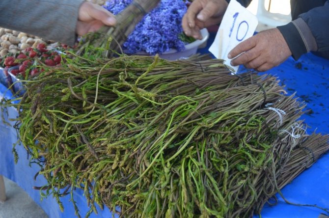 Tilkimen Otu Tezgahta Yerini Aldı
