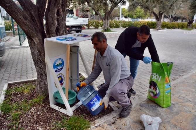 Söke Belediyesi Sokak Hayvanlarını Unutmadı