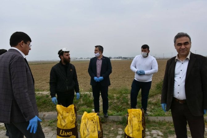 Nazilli’de Sokak Hayvanları Unutulmadı