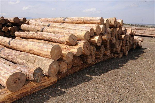 Kütahya Orman Bölge Müdürlüğü’nde ’E-satış’ Uygulaması